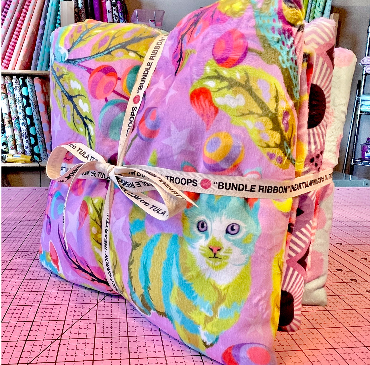 Complete Minky Bundle - Tabby Road Deja Vu